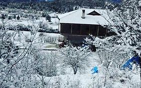 Bujtina Vila Dodo